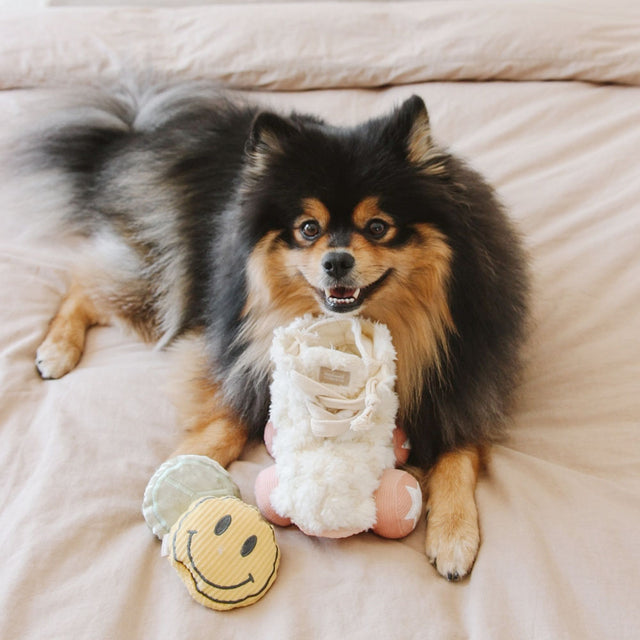 Lambwolf Collective Schnüffelspielzeug ROLLER SKATE Interaktiv