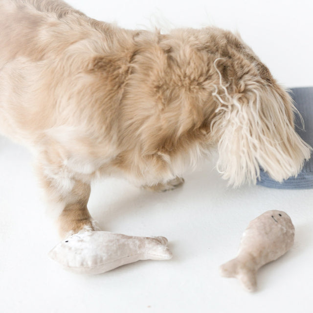 Lambwolf Collective Schnüffelspielzeug Sardinen Interaktiv