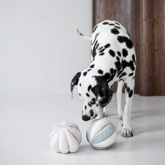 Lambwolf Collective Schnüffelspielzeug TOTO, Blush Interaktiv