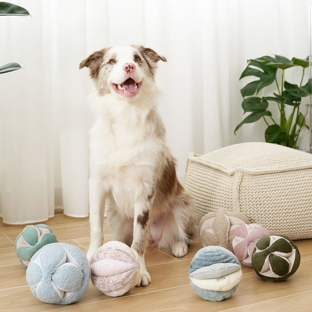 Lambwolf Collective Schnüffelspielzeug TOTO, Blush Interaktiv