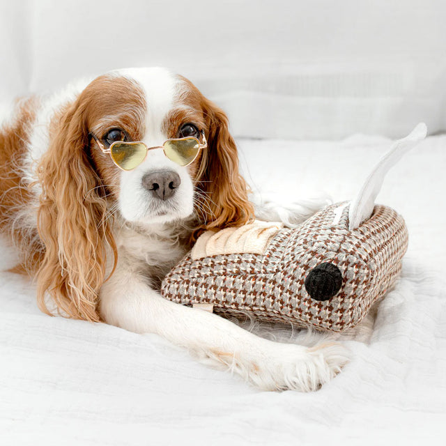 Lambwolf Collective Schnüffelspielzeug TYPEWRITER Interaktiv