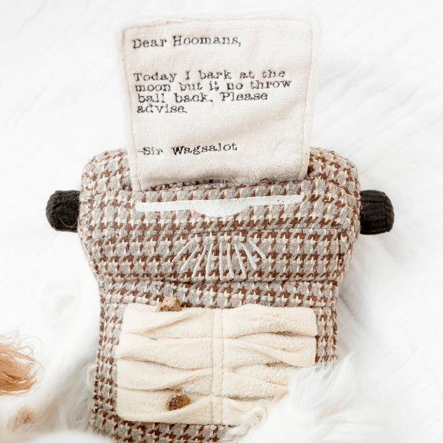 Lambwolf Collective Schnüffelspielzeug TYPEWRITER Interaktiv