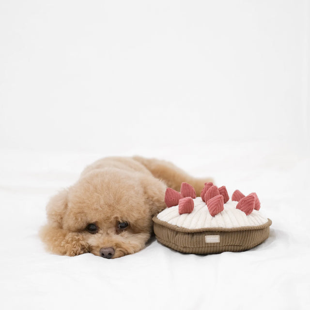 Lambwolf Collective Schnüffelspielzeug BERRY PIE Beerenkuchen Interaktiv