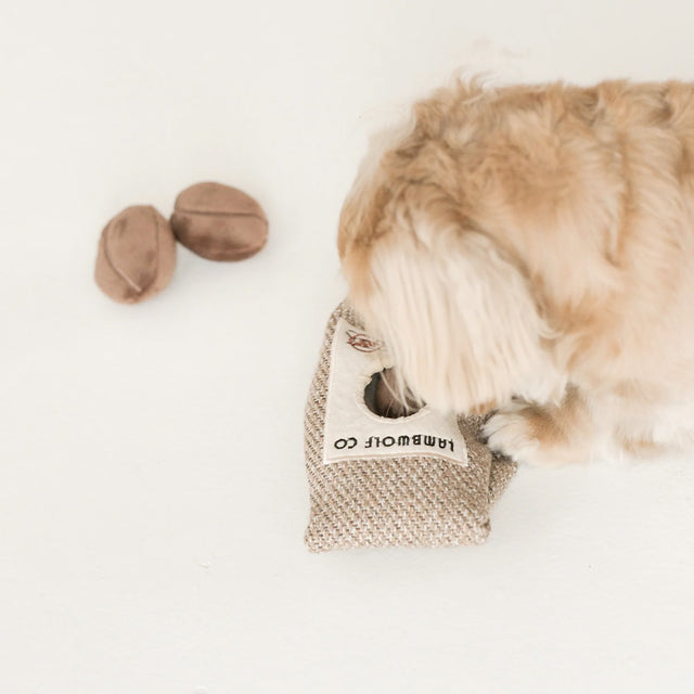 Lambwolf Collective Schnüffelspielzeug COFFEE BEANS Kaffebohnen Interaktiv