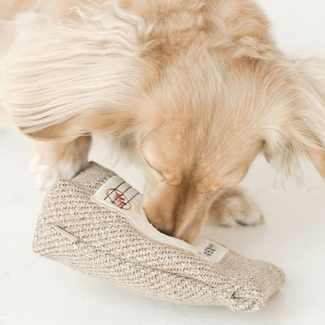 Lambwolf Collective Schnüffelspielzeug COFFEE BEANS Kaffebohnen Interaktiv