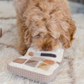 Lambwolf Collective Schnüffelspielzeug EYESHADOW PALETTE Interaktiv