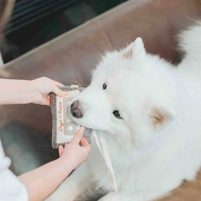 Lambwolf Collective Schnüffelspielzeug KASSETTE Interaktiv