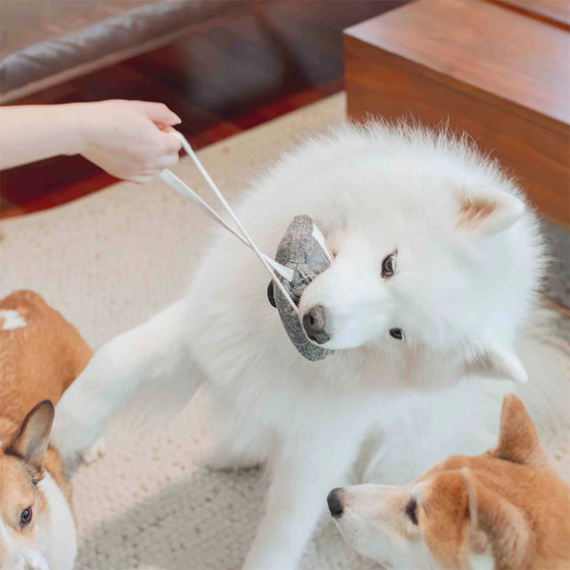 Lambwolf Collective Schnüffelspielzeug KASSETTE Interaktiv