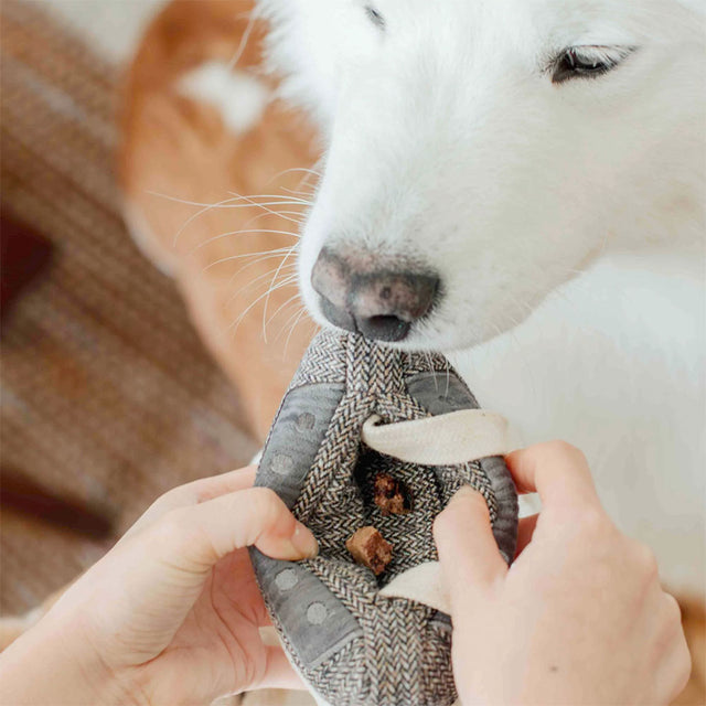 Lambwolf Collective Schnüffelspielzeug KASSETTE Interaktiv