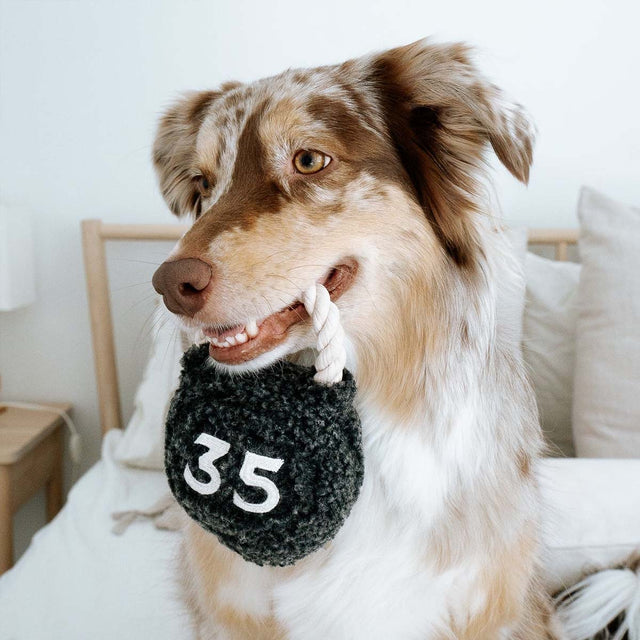 Lambwolf Collective Schnüffelspielzeug KETTLEBELL Interaktiv