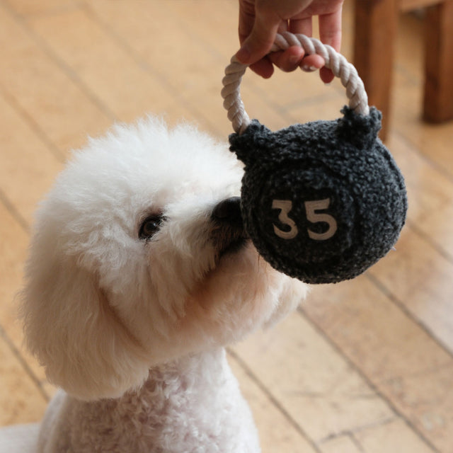 Lambwolf Collective Schnüffelspielzeug KETTLEBELL Interaktiv