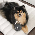 Lambwolf Collective Schnüffelspielzeug KETTLEBELL Interaktiv