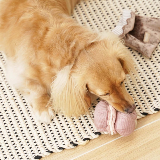 Lambwolf Collective Schnüffelspielzeug PETITE TWO, Macaron + Madeleine Interaktiv