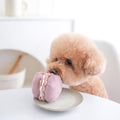 Lambwolf Collective Schnüffelspielzeug PETITE TWO, Macaron + Madeleine Interaktiv