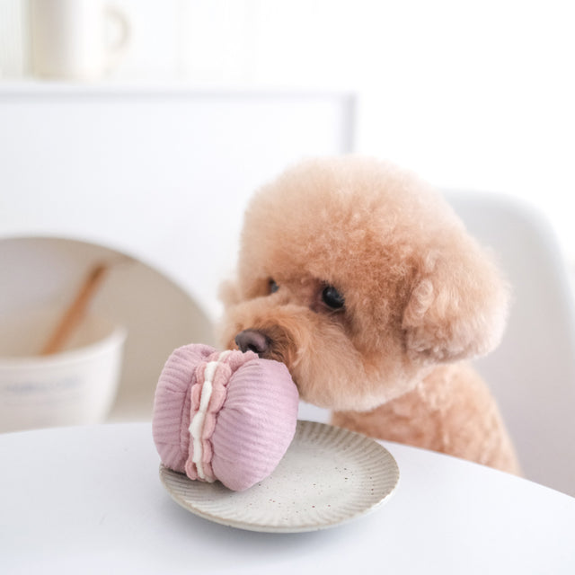 Lambwolf Collective Schnüffelspielzeug PETITE TWO, Macaron + Madeleine Interaktiv