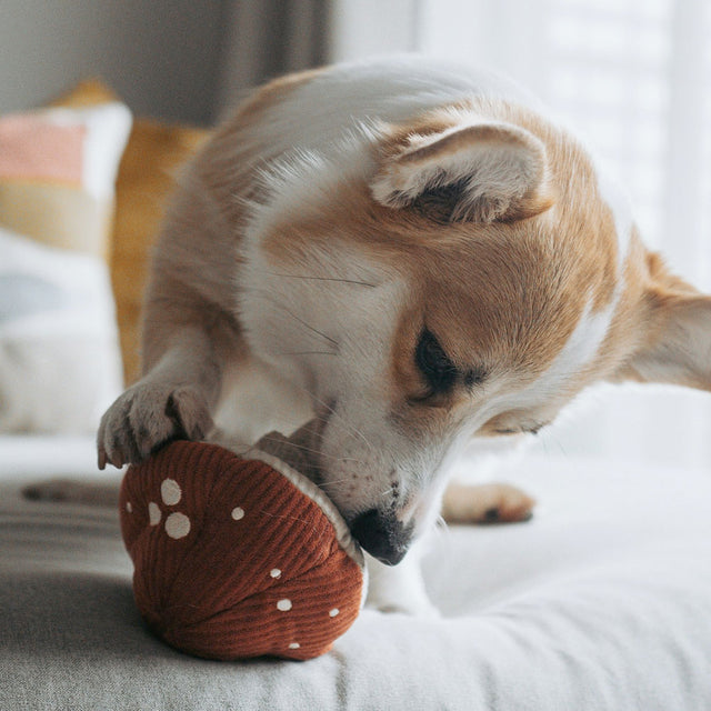 Lambwolf Collective Schnüffelspielzeug SHROOM Fliegenpilz Interaktiv