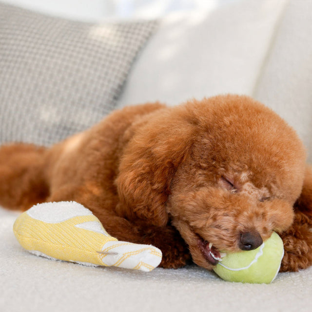 Lambwolf Collective Hundespielzeug TENNIS POP Stoffspielzeug