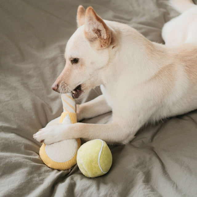 Lambwolf Collective Hundespielzeug TENNIS POP Stoffspielzeug