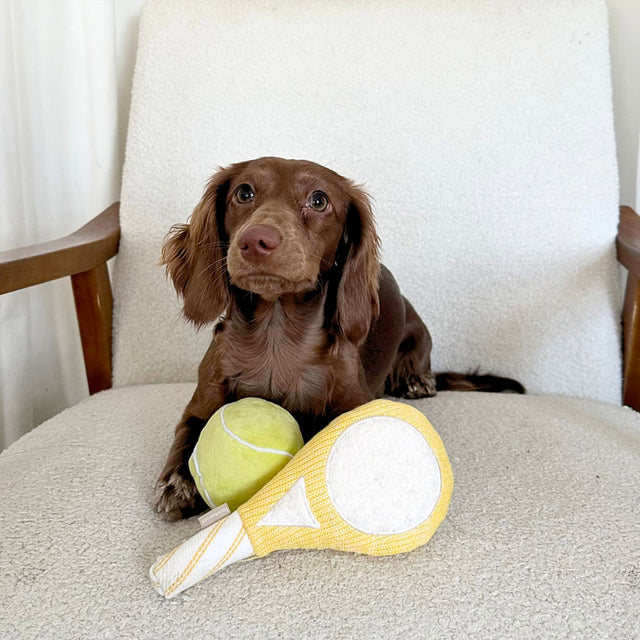 Lambwolf Collective Hundespielzeug TENNIS POP Stoffspielzeug