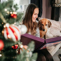 LILA LOVES IT Adventskalender 2026 Fleischsnacks