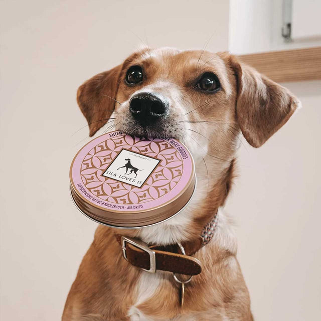 LILA LOVES IT Entenfleisch Goodies, 50g Fleischsnacks