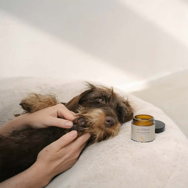 LILA LOVES IT Pfötchenpflege, 60ml Pfotenpflege