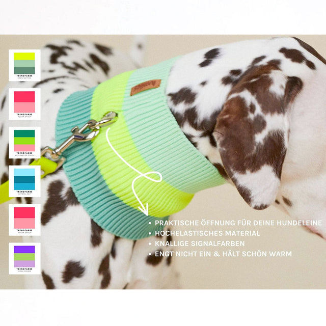 lumiies The Glow Loop, Crystal Sky Hundehalstücher