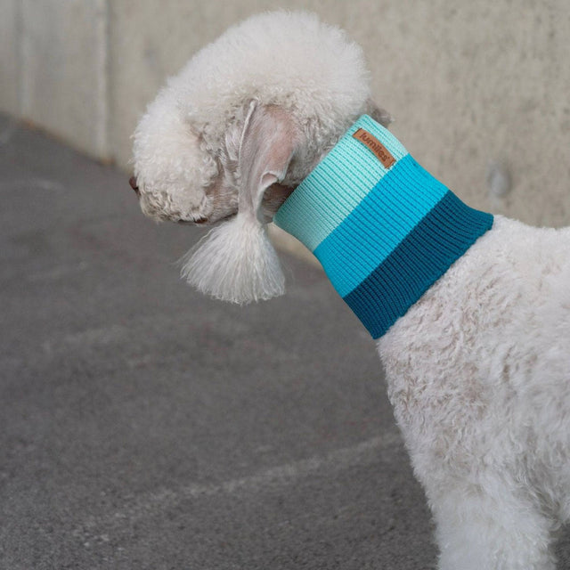 lumiies The Glow Loop, Crystal Sky Hundehalstücher