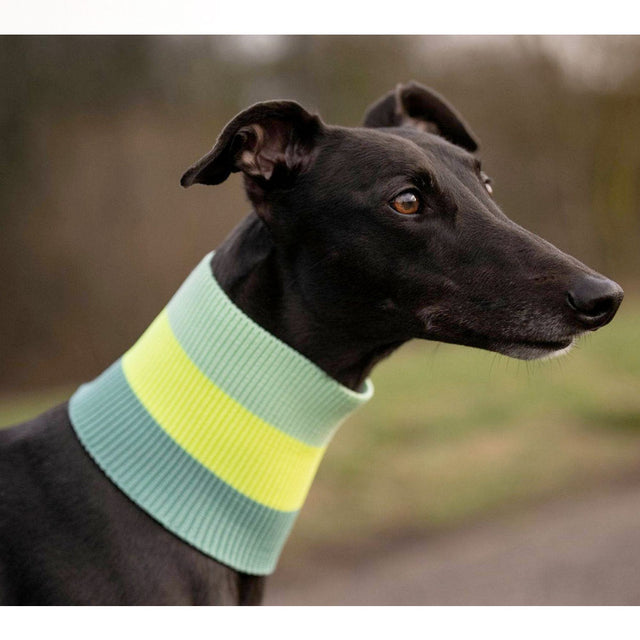 lumiies The Glow Loop, Neon Matcha Hundehalstücher