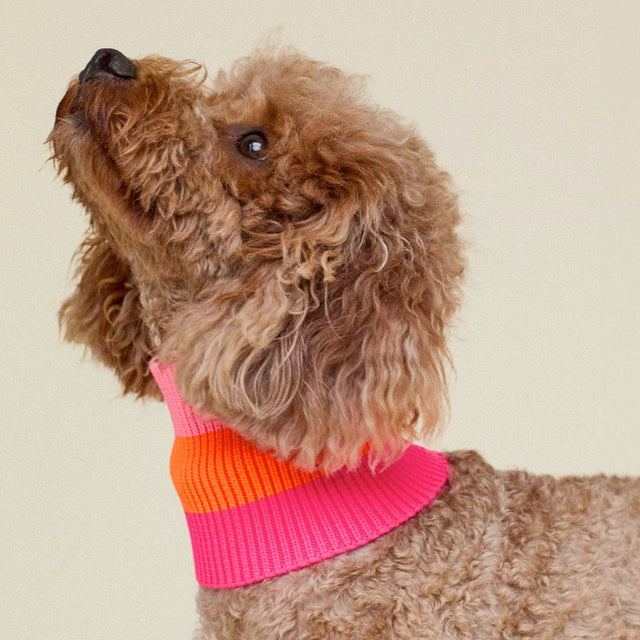 lumiies The Glow Loop, Sunny Tangerine Hundehalstücher