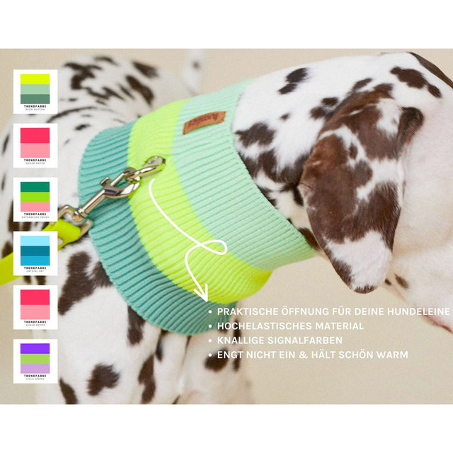 lumiies The Glow Loop, Neon Matcha Hundehalstücher