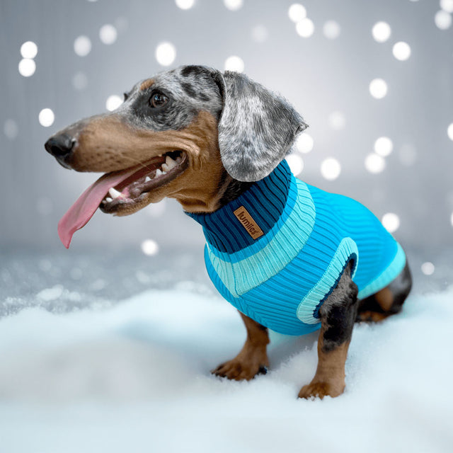 lumiies Hundepullover, The Glow Jumper - Crystal Sky Hundepullover