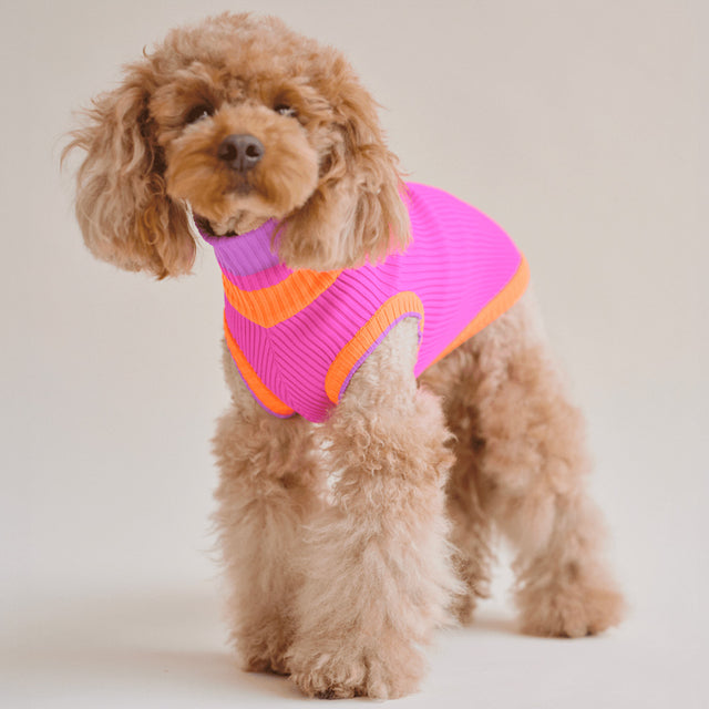 lumiies Hundepullover The Glow Jumper, Electric Sunset Hundepullover