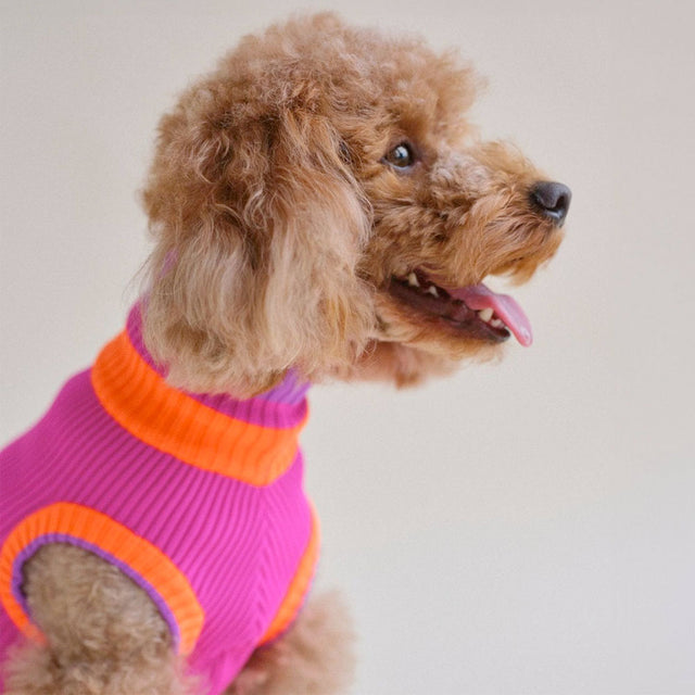lumiies Hundepullover The Glow Jumper, Electric Sunset Hundepullover