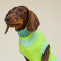 lumiies Hundepullover The Glow Jumper, Neon Matcha Hundehalstücher