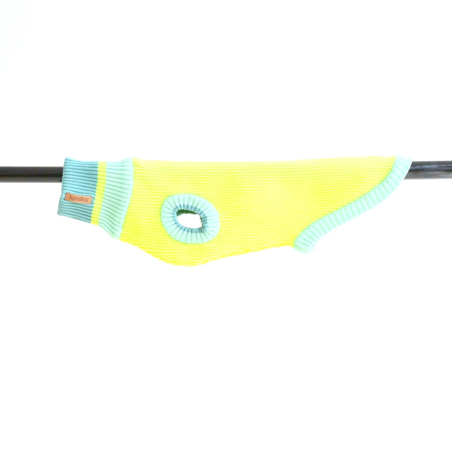 lumiies Hundepullover The Glow Jumper, Neon Matcha Hundehalstücher
