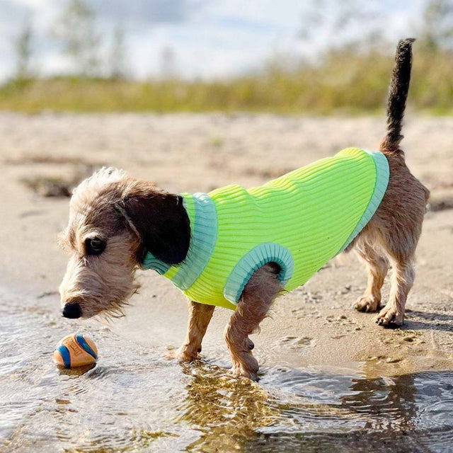 lumiies Hundepullover The Glow Jumper, Neon Matcha Hundehalstücher