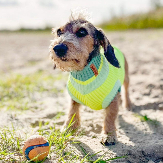 lumiies Hundepullover The Glow Jumper, Neon Matcha Hundehalstücher