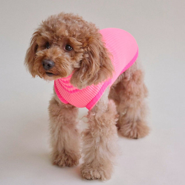 lumiies Hundepullover The Glow Jumper, Sugar Shock Hundepullover