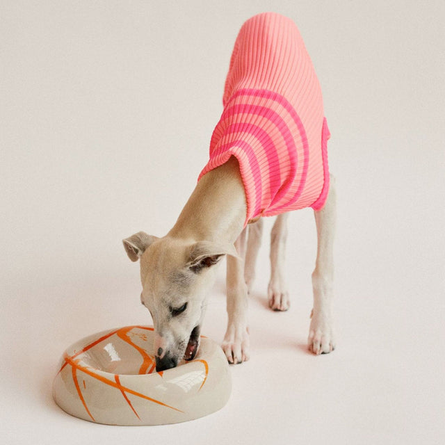 lumiies Hundepullover The Glow Jumper, Sugar Shock Hundepullover