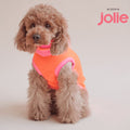 lumiies Hundepullover, The Glow Jumper - Sunny Tangerine Hundepullover