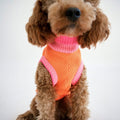 lumiies Hundepullover, The Glow Jumper - Sunny Tangerine Hundepullover