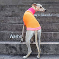 lumiies Hundepullover, The Glow Jumper - Sunny Tangerine Hundepullover