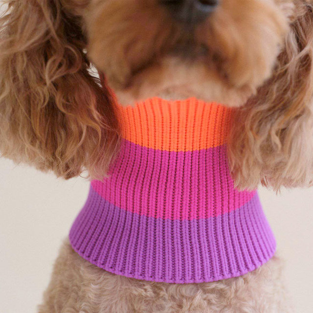 lumiies The Glow Loop, Electric Sunset Hundehalstücher