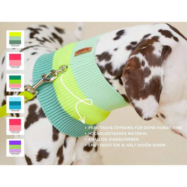 lumiies The Glow Loop, Electric Sunset Hundehalstücher