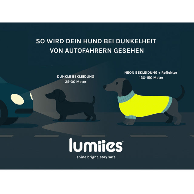 lumiies The Glow Loop, Electric Sunset Hundehalstücher