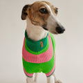 lumiies Hundepullover The Glow Jumper, Watermelon Crush Hundepullover