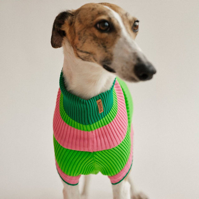 lumiies Hundepullover The Glow Jumper, Watermelon Crush Hundepullover