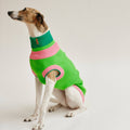 lumiies Hundepullover The Glow Jumper, Watermelon Crush Hundepullover