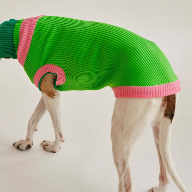 lumiies Hundepullover The Glow Jumper, Watermelon Crush Hundepullover